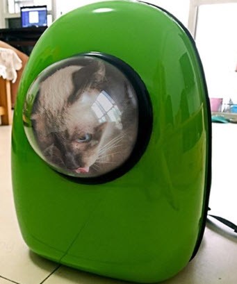 เป้แมว กระเป๋าใส่แมว Space Capsule รับน้ำหนักได้ 5kg ขนาด 30x28x44 ซม. สีเขียว