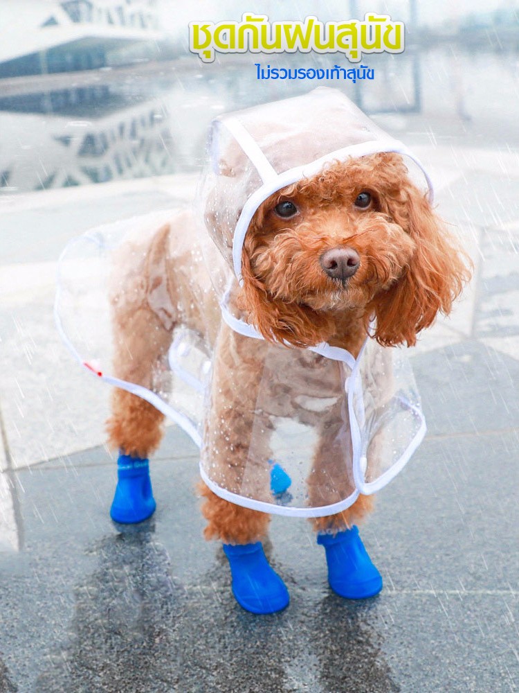 เสื้อกันฝนหมา เสื้อกันฝนกันน้ำสะท้อนแสงสำหรับสุนัข Little Dog PVC Raincoat