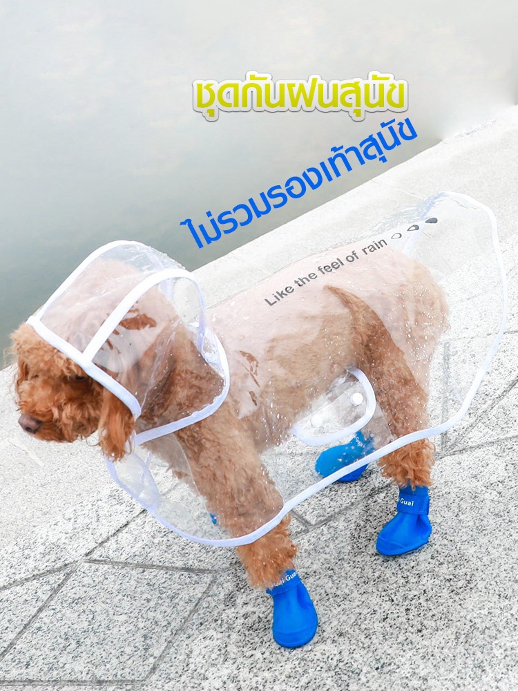 เสื้อกันฝนสุนัข Little Dog PVC Raincoat ชุดกันฝนหมา สวมใส่ง่าย สำหรับสุนัขเล็ก — สีขาวใส
