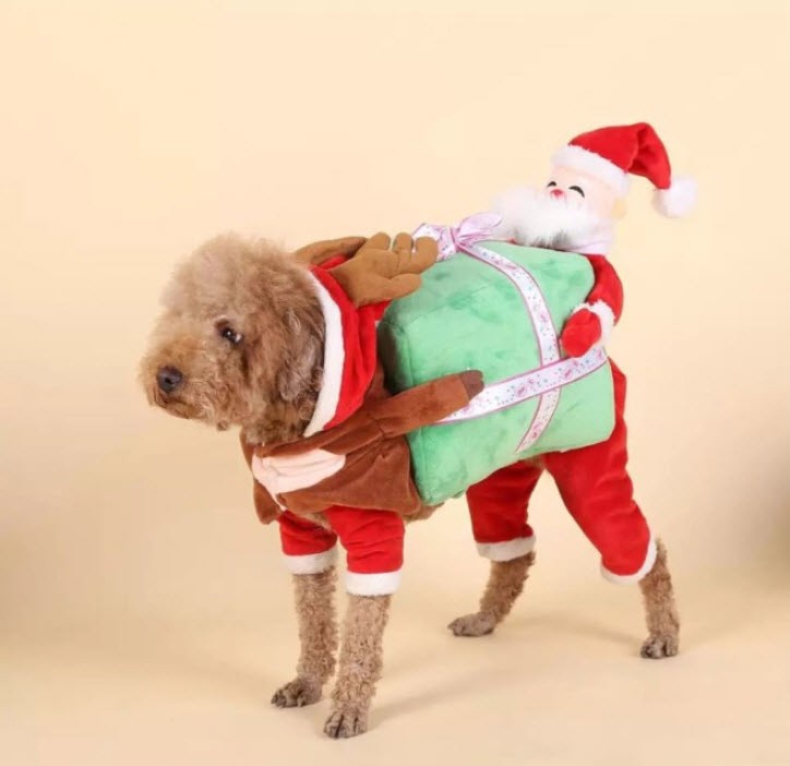 ชุดสุนัข เสื้อผ้าสุนัข แฟนซี Dog Fancy Clothes เสื้อผ้า สำหรับสัตว์เลี้ยง – 02