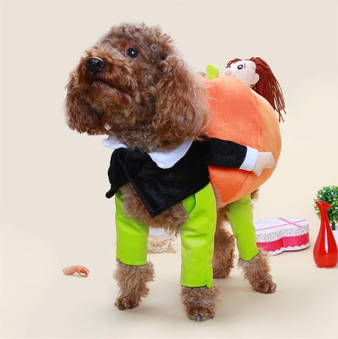 ชุดสุนัข เสื้อผ้าสุนัข แฟนซี Dog Fancy Clothes เสื้อผ้า สำหรับสัตว์เลี้ยง – 03