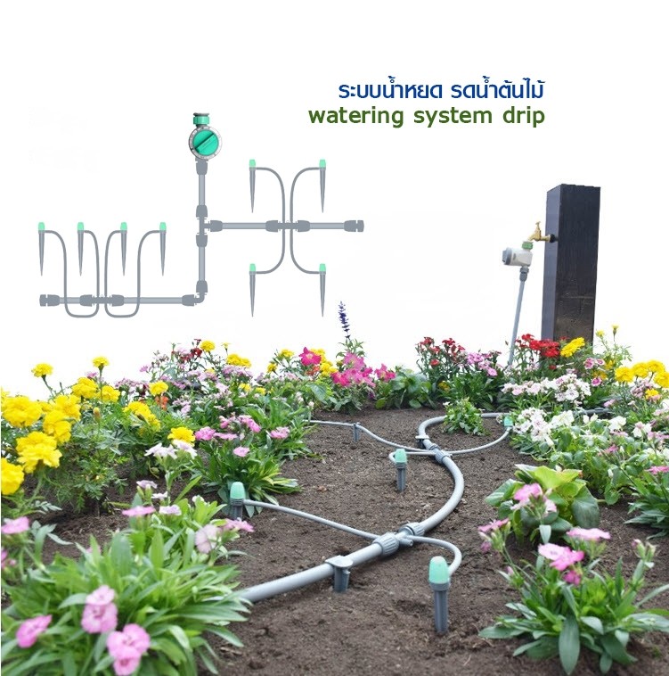 ระบบน้ำหยด รดน้ำต้นไม้ watering system drip
