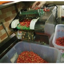 เครื่องซอยพริก ซอยต้นหอม chili dicing and cutting machine