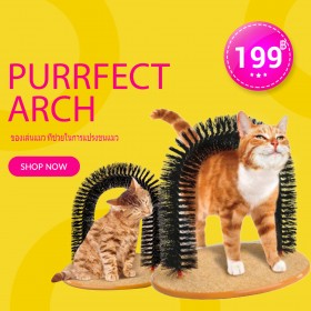 ของเล่นแมว ที่ช่วยในการแปรงขนแมว Purrfect Arch