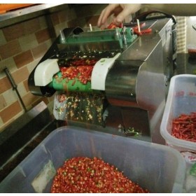 เครื่องซอยพริก ซอยต้นหอม chili dicing and cutting machine
