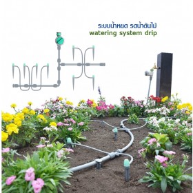 ระบบน้ำหยด รดน้ำต้นไม้ watering system drip