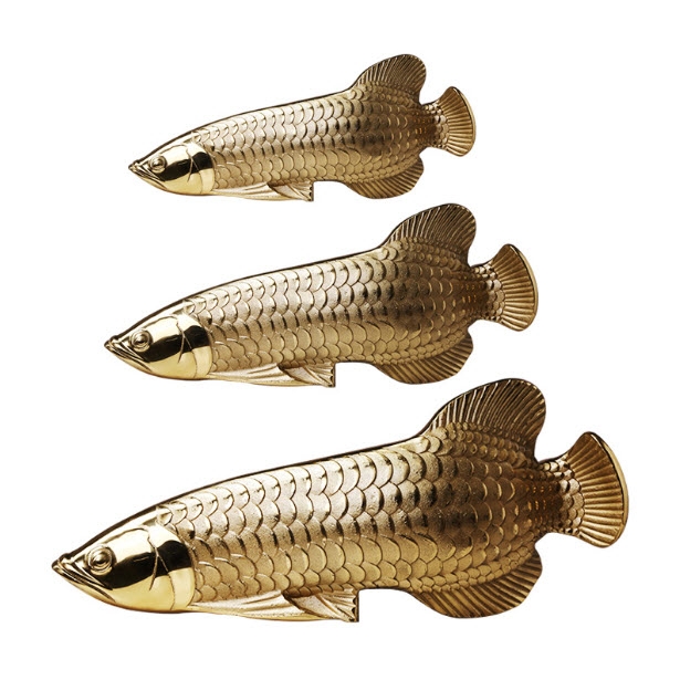 ปลามังกร ฮวงจุ้ย gold arowana